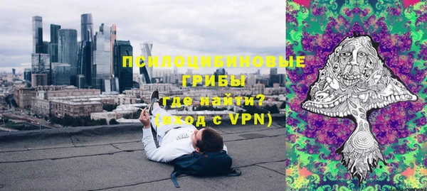 ECSTASY Бородино