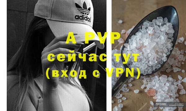 ECSTASY Бородино