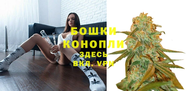 ECSTASY Бородино