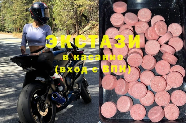 ECSTASY Бородино
