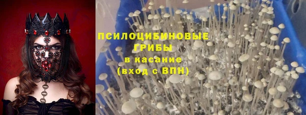 ECSTASY Бородино