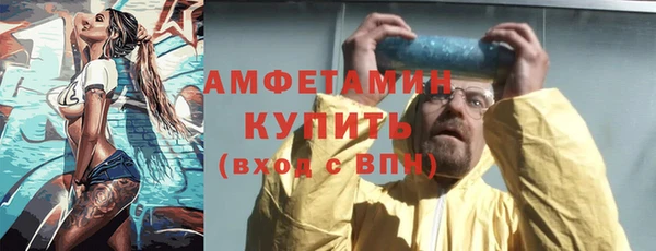 ECSTASY Бородино