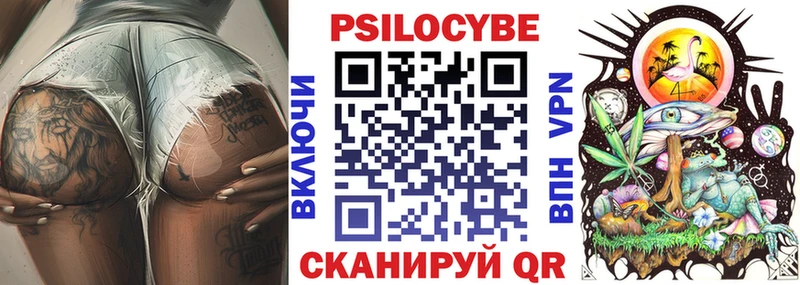 дарнет шоп  Верхняя Пышма  Псилоцибиновые грибы Cubensis 